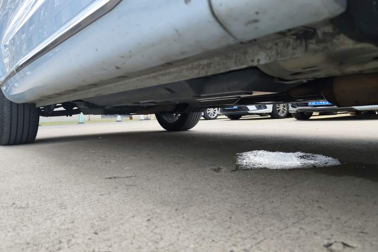 Used Wey Mocha 2021 2.0T Four-Wheel Drive Premium Edition Right Side Sill