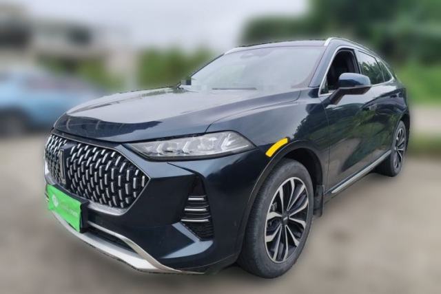 Used Wey Mocha 2021 2.0T Two-Wheel-Drive Premium Edition