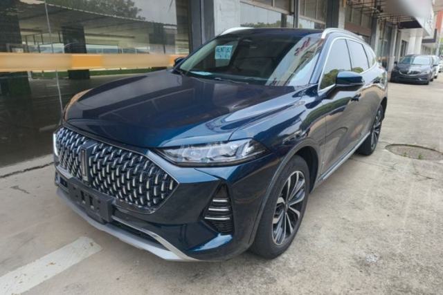 Used Wey Mocha 2021 2.0T Four-Wheel Drive Premium Edition