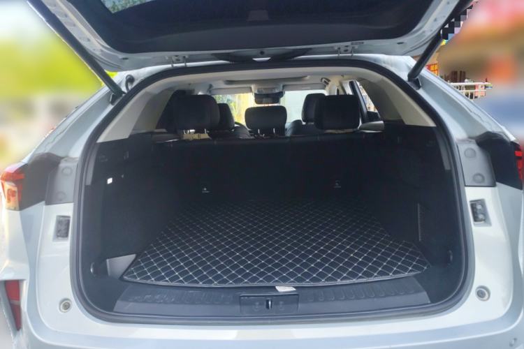 Used Wey Mocha 2021 2.0T Two-Wheel Drive Special Edition Trunk
