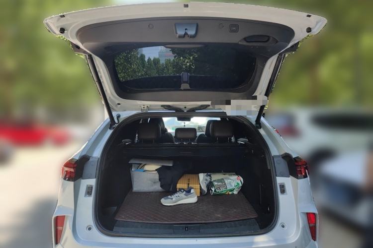Used Wey Mocha 2021 2.0T Two-Wheel-Drive Premium Edition Trunk