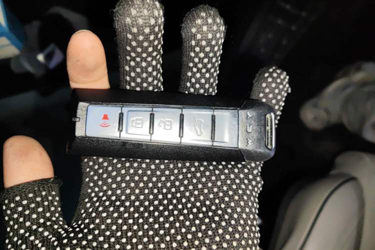Used Wey Mocha 2021 2.0T Two-Wheel-Drive Premium Edition Vehicle Key
