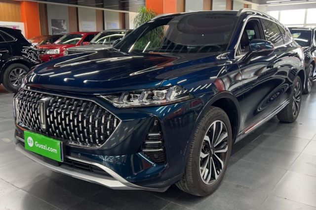 Used Wey Mocha 2021 2.0T Four-Wheel Drive Premium Edition