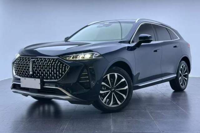 Used Wey Mocha 2021 2.0T Two-Wheel-Drive Premium Edition