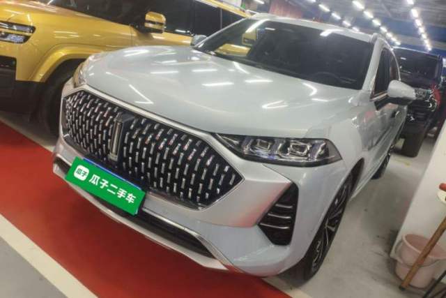 Used Wey Mocha 2021 2.0T Four-Wheel Drive Premium Edition