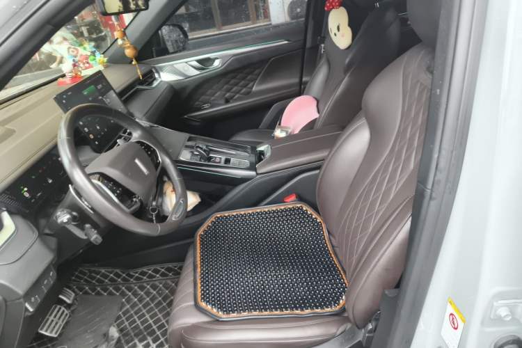 Used Wey Mocha 2021 2.0T Two-Wheel-Drive Premium Edition Left Front Seat