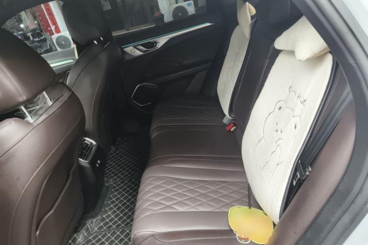 Used Wey Mocha 2021 2.0T Two-Wheel-Drive Premium Edition Left Rear Seat