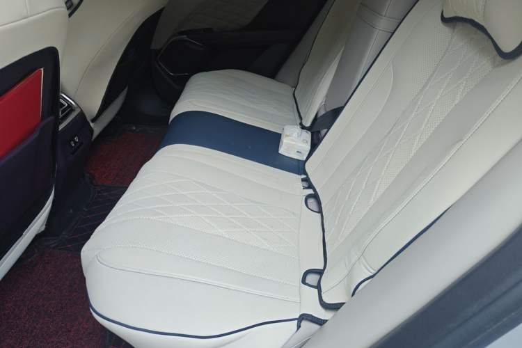 Used Wey Mocha 2021 2.0T Two-Wheel-Drive Premium Edition Left Rear Seat