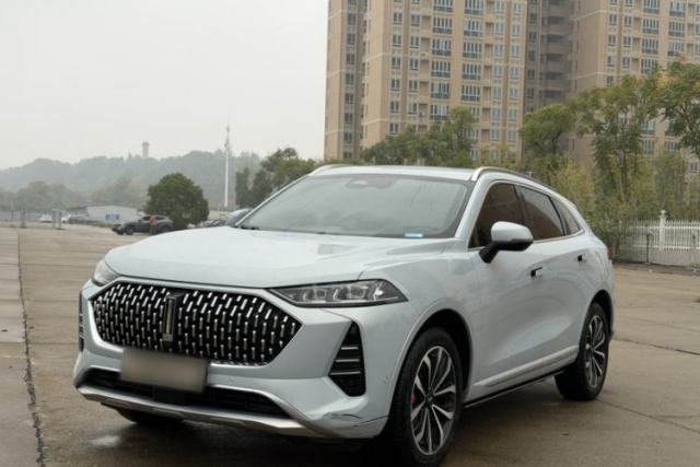 Used Wey Mocha 2021 2.0T Two-Wheel-Drive Premium Edition