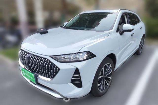 Used Wey Mocha 2021 2.0T Four-Wheel Drive Premium Edition
