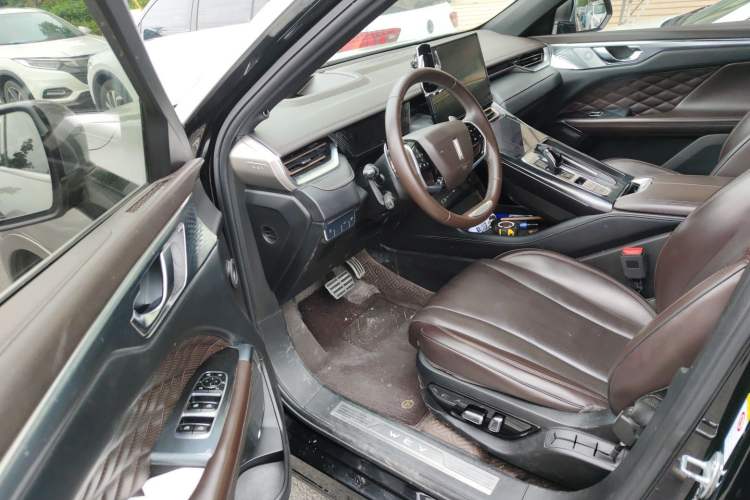 Used Wey Mocha 2021 2.0T Two-Wheel-Drive Ultra-Strong Version Driver Seat