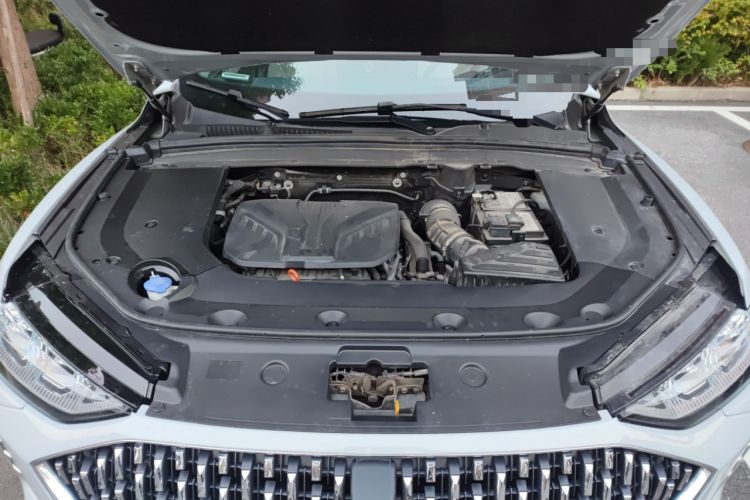 Used Wey Mocha 2021 2.0T Four-Wheel Drive Premium Edition Engine Bay