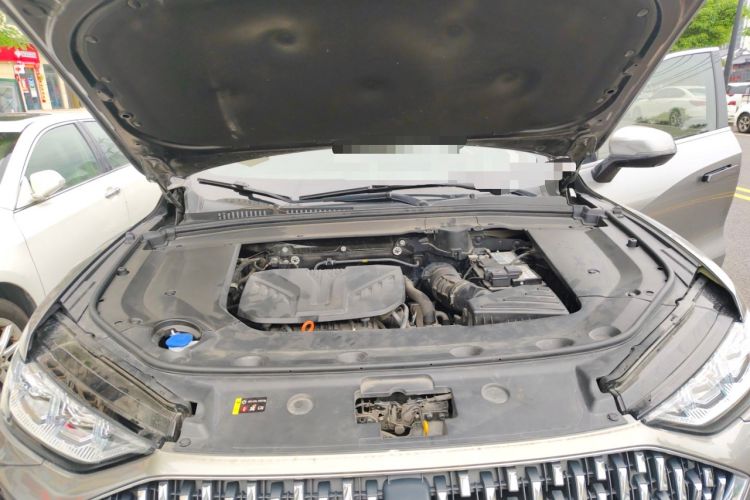 Used Wey Mocha 2021 2.0T Two-Wheel-Drive Ultra-Strong Version Engine Bay