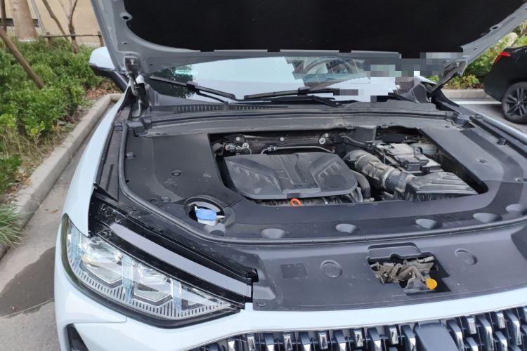 Used Wey Mocha 2021 2.0T Four-Wheel Drive Premium Edition Engine Bay Right