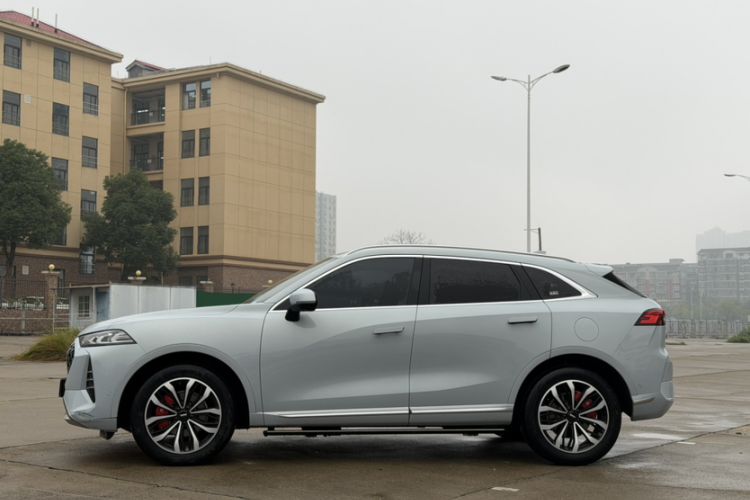 Used Wey Mocha 2021 2.0T Two-Wheel-Drive Premium Edition Exterior 3