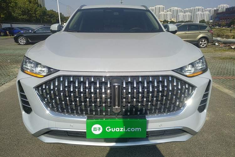 Used Wey Mocha 2021 2.0T Two-Wheel-Drive Premium Edition Front
