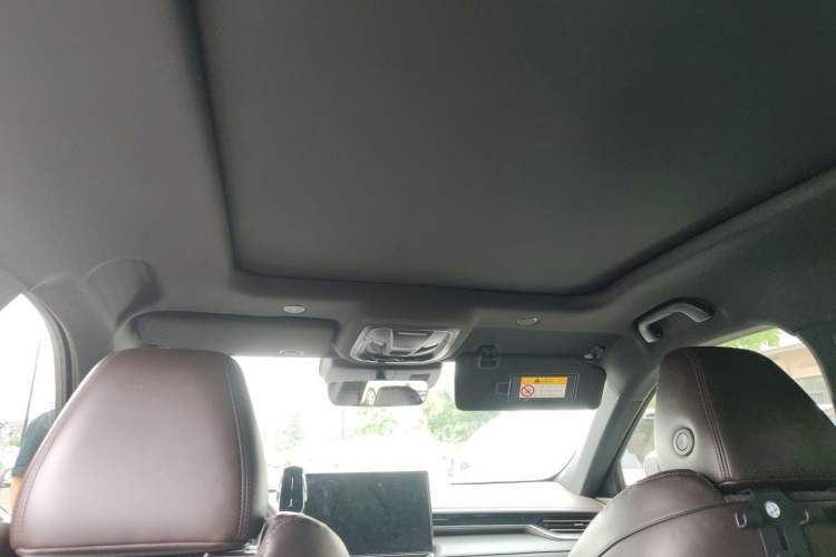 Used Wey Mocha 2021 2.0T Two-Wheel-Drive Ultra-Strong Version Headliner