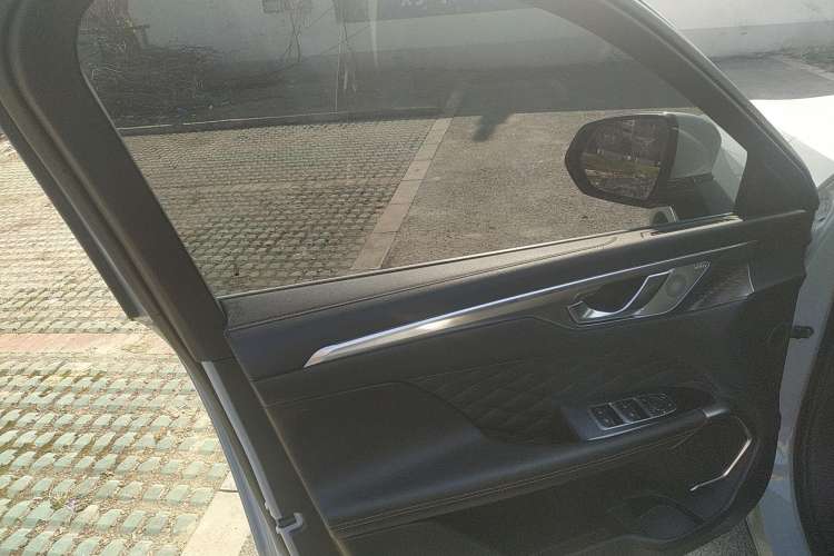 Used Wey Mocha 2021 2.0T Two-Wheel-Drive Premium Edition Left Front Door Interior