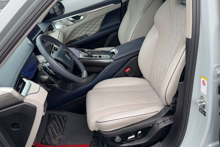 Used Wey Mocha 2021 2.0T Two-Wheel-Drive Premium Edition Left Front Seat