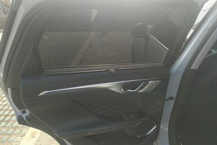 Used Wey Mocha 2021 2.0T Two-Wheel-Drive Premium Edition Left Rear Door Interior