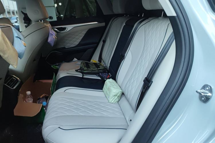 Used Wey Mocha 2021 2.0T Four-Wheel Drive Premium Edition Left Rear Seat