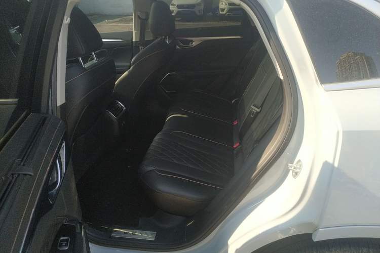 Used Wey Mocha 2021 2.0T Two-Wheel-Drive Premium Edition Left Rear Seat