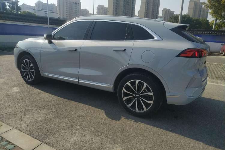 Used Wey Mocha 2021 2.0T Two-Wheel-Drive Premium Edition Left Side