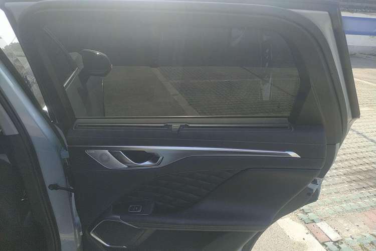 Used Wey Mocha 2021 2.0T Two-Wheel-Drive Premium Edition Right Rear Door Interior