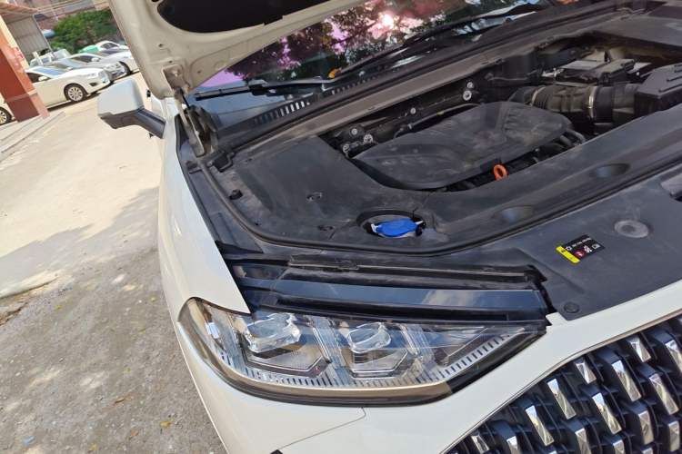 Used Wey Mocha 2021 2.0T Two-Wheel-Drive Premium Edition Engine Bay Right
