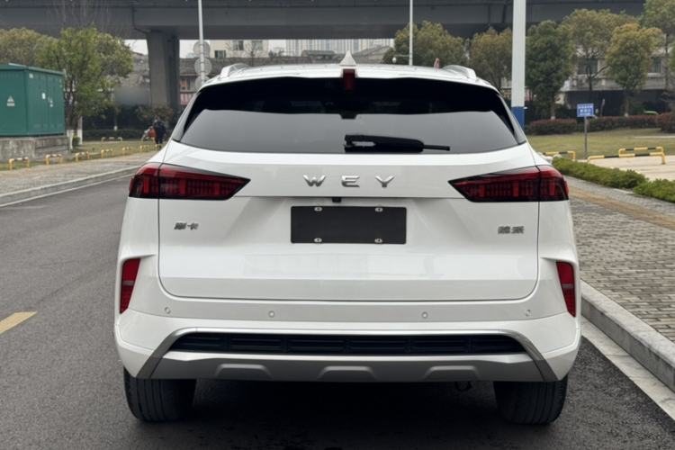 Used Wey Mocha 2021 2.0T Four-Wheel Drive Premium Edition Exterior 4