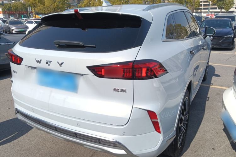 Used Wey Mocha 2021 2.0T Two-Wheel-Drive Premium Edition Exterior 5