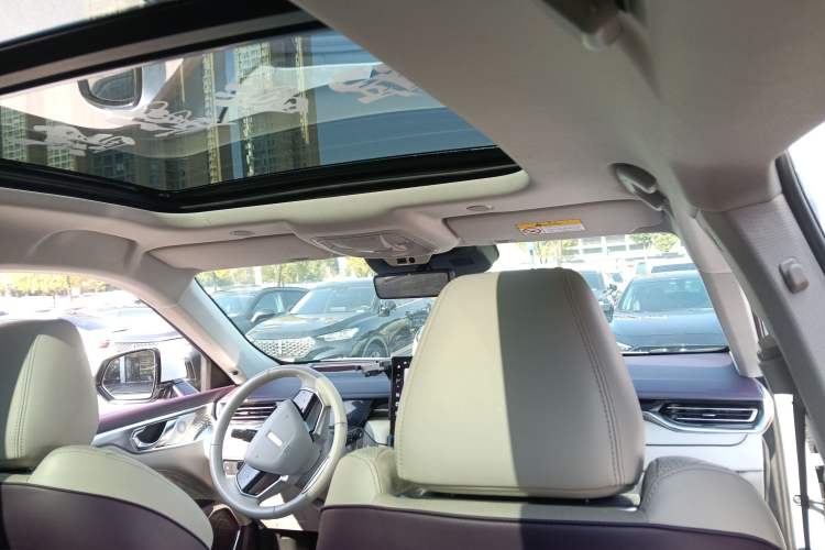 Used Wey Mocha 2021 2.0T Two-Wheel-Drive Premium Edition Headliner