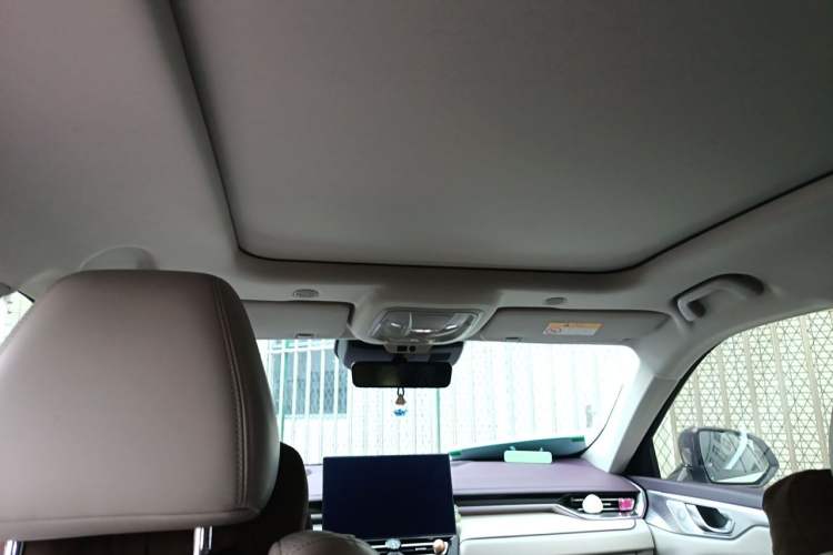 Used Wey Mocha 2021 2.0T Four-Wheel Drive Premium Edition Headliner