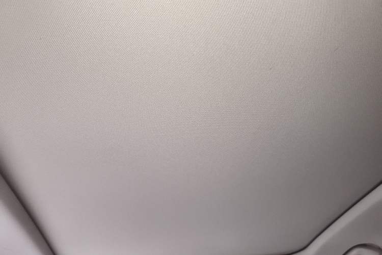 Used Wey Mocha 2021 2.0T Two-Wheel-Drive Ultra-Strong Version Headliner