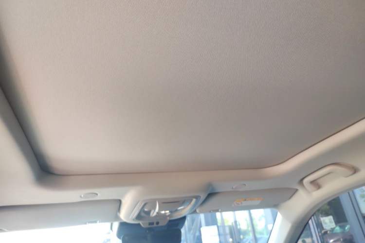 Used Wey Mocha 2021 2.0T Two-Wheel-Drive Premium Edition Headliner