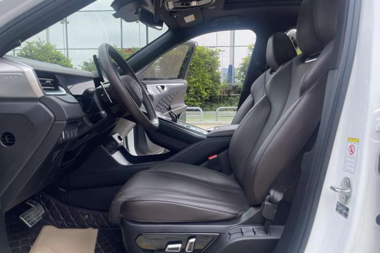 Used Wey Mocha 2021 2.0T Two-Wheel-Drive Ultra-Strong Version Left Front Seat