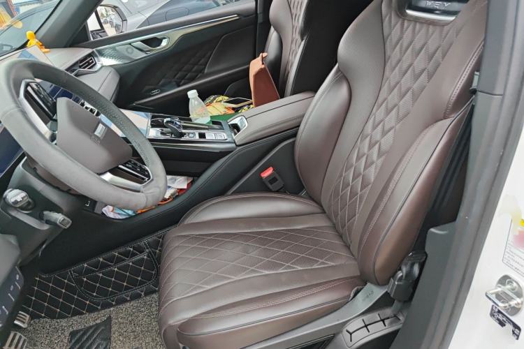 Used Wey Mocha 2021 2.0T Two-Wheel-Drive Premium Edition Left Front Seat