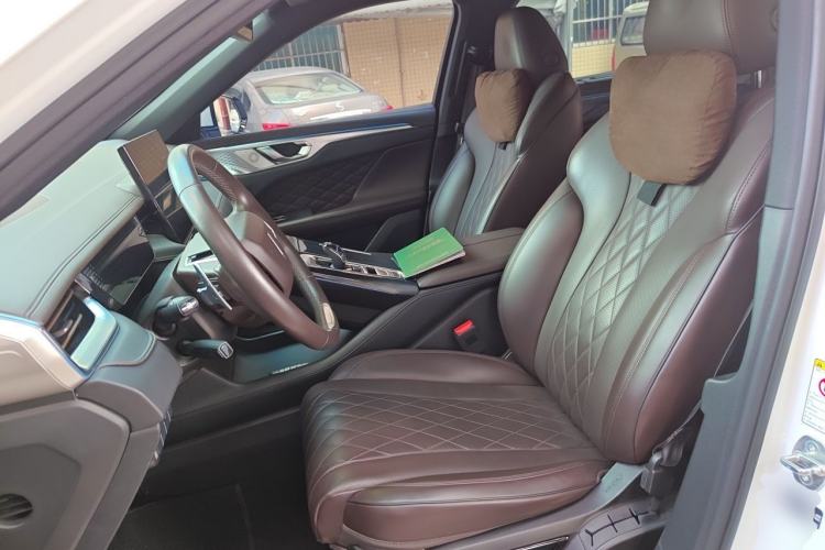 Used Wey Mocha 2021 2.0T Two-Wheel-Drive Premium Edition Left Front Seat