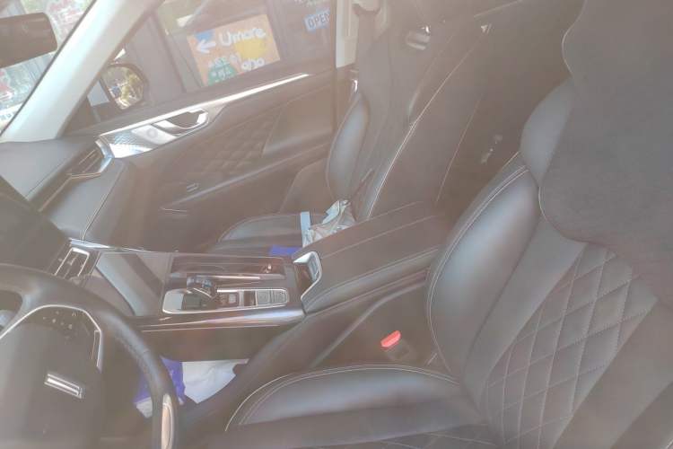 Used Wey Mocha 2021 2.0T Two-Wheel-Drive Premium Edition Left Front Seat