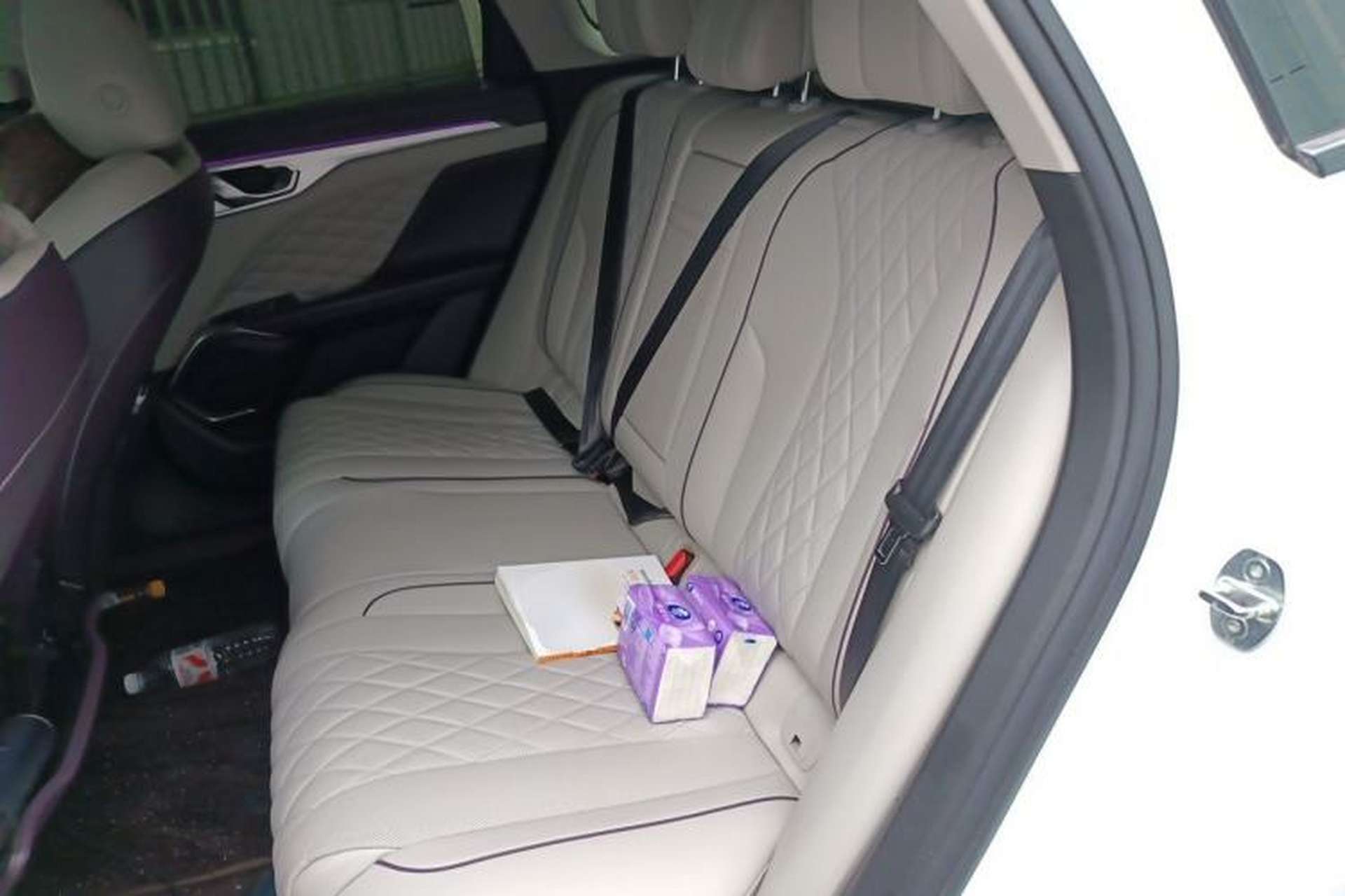 Used Wey Mocha 2021 2.0T Four-Wheel Drive Premium Edition Left Rear Seat
