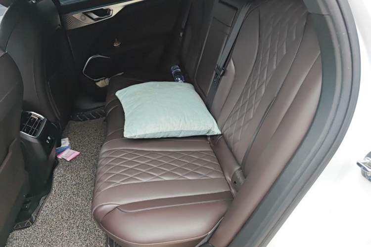 Used Wey Mocha 2021 2.0T Two-Wheel-Drive Premium Edition Left Rear Seat