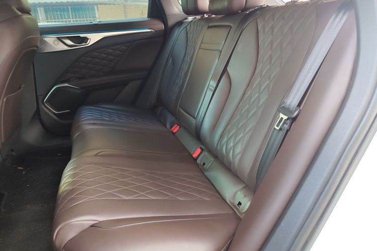 Used Wey Mocha 2021 2.0T Two-Wheel-Drive Premium Edition Left Rear Seat
