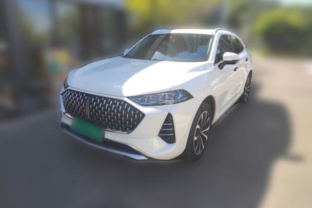 Used Wey Mocha 2021 2.0T Two-Wheel-Drive Premium Edition