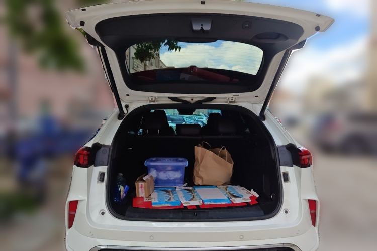 Used Wey Mocha 2021 2.0T Two-Wheel-Drive Premium Edition Trunk