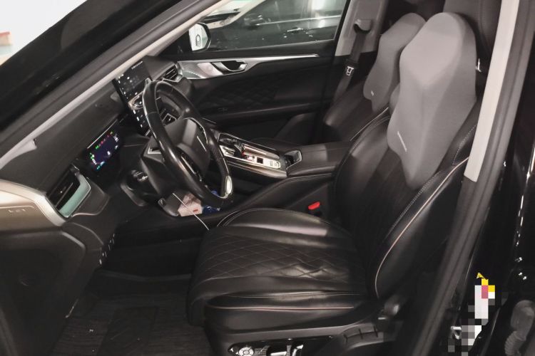 Used Wey Mocha New Energy 2022 1.5T Zero-Anxiety Performance Edition Left Front Seat