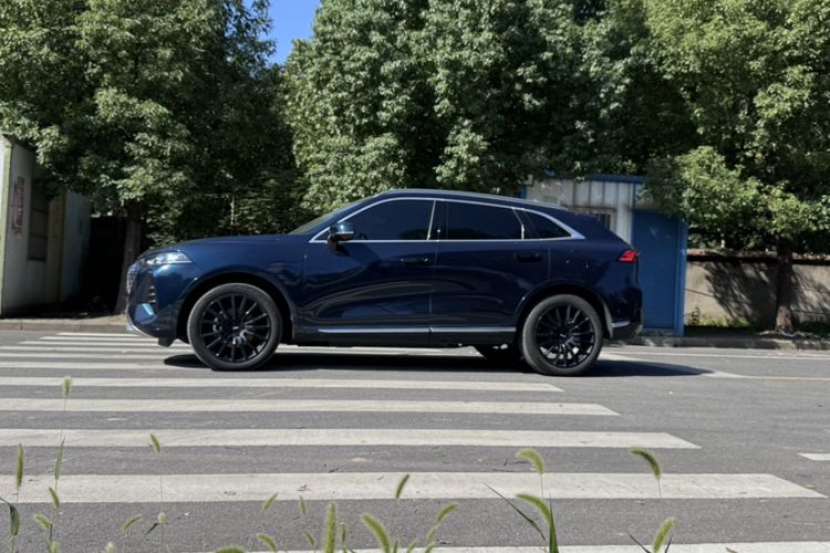 Used Wey Mocha New Energy 2022 1.5T Zero-Anxiety Performance Edition Exterior 6
