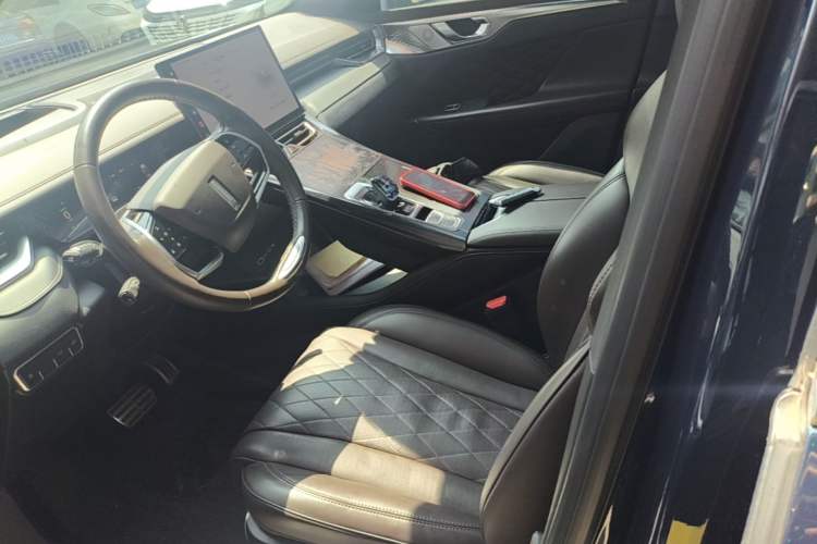 Used Wey Mocha New Energy 2022 1.5T Zero-Anxiety Performance Edition Left Front Seat
