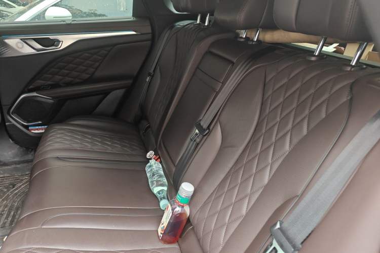 Used Wey Mocha New Energy 2022 1.5T Zero-Anxiety Performance Edition Left Rear Seat