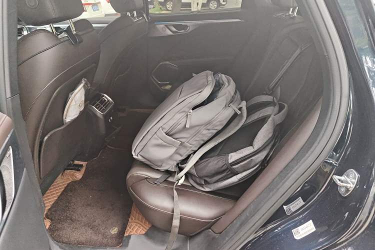 Used Wey Mocha New Energy 2022 1.5T Zero-Anxiety Performance Edition Left Rear Seat
