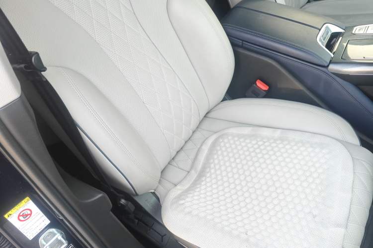 Used Wey Mocha New Energy 2022 1.5T Zero-Anxiety Performance Edition Right Front Seat